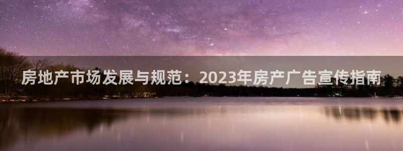 新宝b2O5O5O：房地产市场发展与规范：2023年房产广告