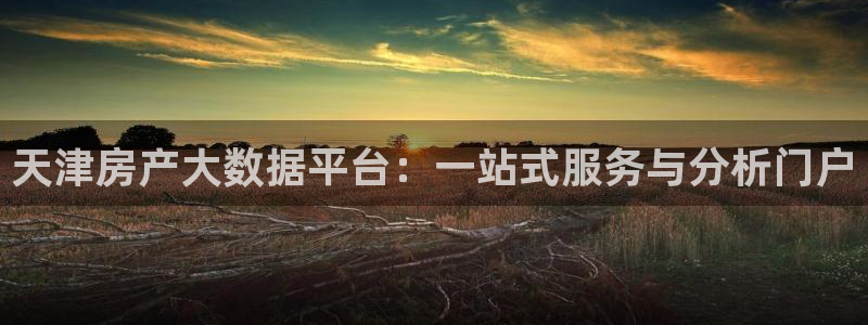 新宝5软件下载：天津房产大数据平台：一站式服务与分析门户