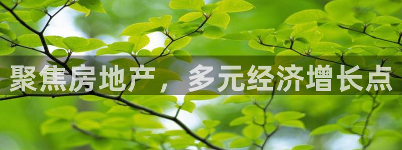 新宝5娱乐注：聚焦房地产，多元经济增长点