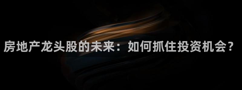 新宝5测速登陆：房地产龙头股的未来：如何抓住投资机会？