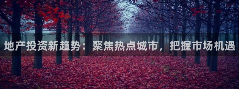 新宝5官方下载地址：地产投资新趋势：聚焦热点城市，把握市场机