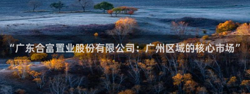 新宝5平台登录：“广东合富置业股份有限公司：广州区域的核心市