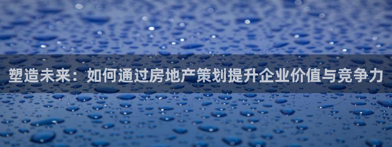 新宝5娱乐登录：塑造未来：如何通过房地产策划提升企业价值与竞