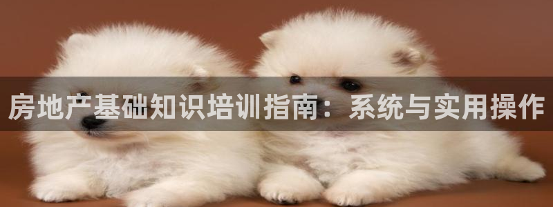 新宝5浗维33 300：房地产基础知识培训指南：系统与实用操