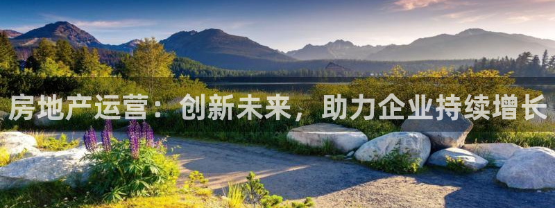 新宝5周74OOO5：房地产运营：创新未来，助力企业持续增长