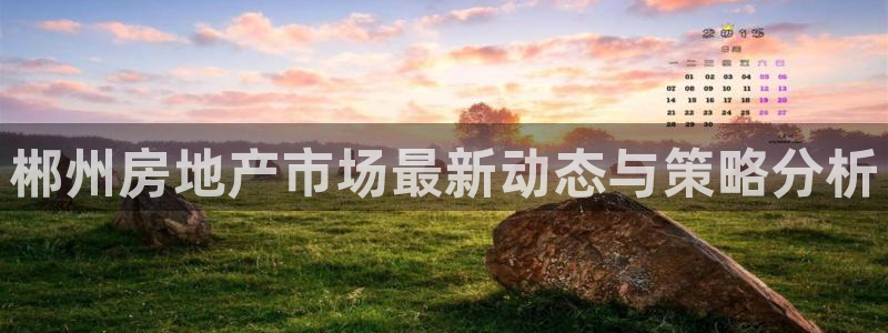 新宝5娱乐平台：郴州房地产市场最新动态与策略分析