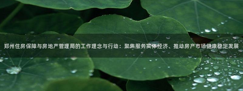 新宝5挂机：郑州住房保障与房地产管理局的工作理念与行动：聚焦