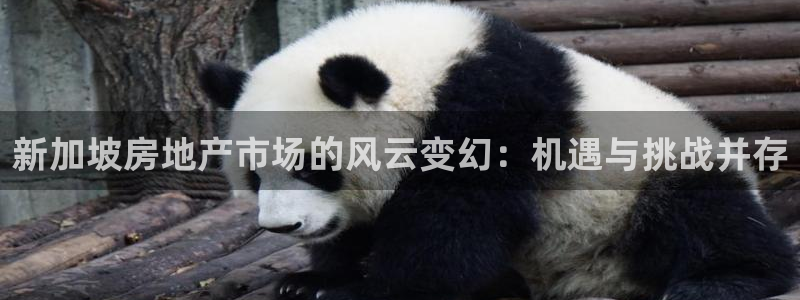新宝5注册登录：新加坡房地产市场的风云变幻：机遇与挑战并存