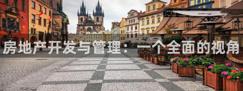 新宝5官方登录入口：房地产开发与管理：一个全面的视角