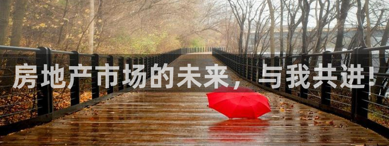 新宝5公司：房地产市场的未来，与我共进!