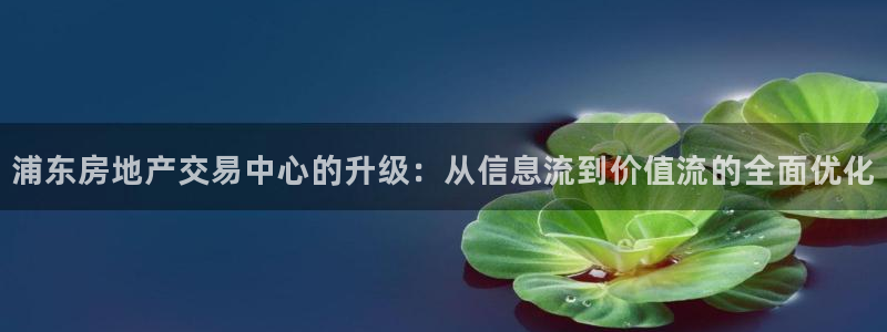 新宝5手机平台登陆：浦东房地产交易中心的升级：从信息流到价值
