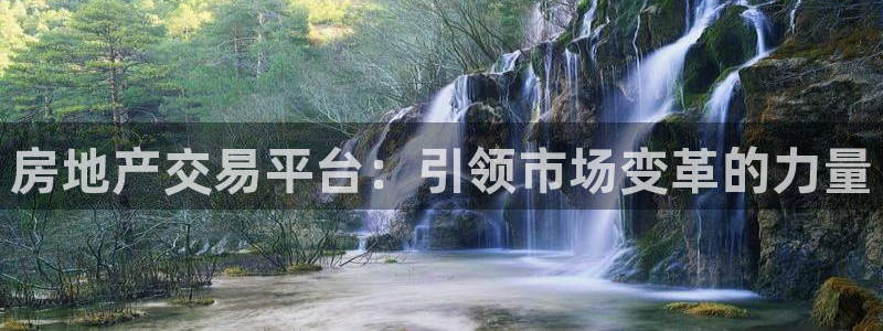 新宝5娱乐手机登录：房地产交易平台：引领市场变革的力量