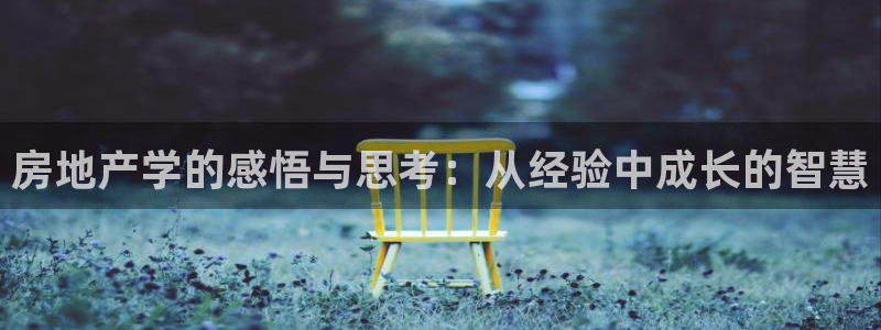 新宝5平台注册资金：房地产学的感悟与思考：从经验中成长的智慧