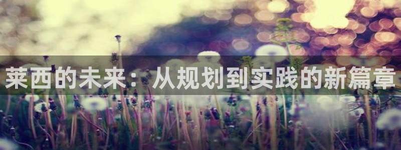 新宝5下载软件：莱西的未来：从规划到实践的新篇章
