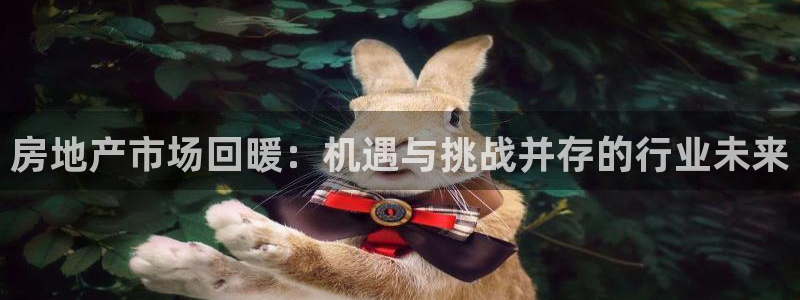 新宝5平台登录注册：房地产市场回暖：机遇与挑战并存的行业未来