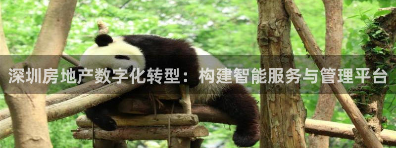 新宝5寂创33300散