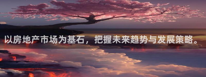 新宝5月：以房地产市场为基石，把握未来趋势与发展策略。