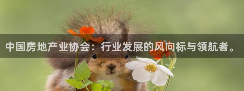 新宝5手机测速：中国房地产业协会：行业发展的风向标与领航者。