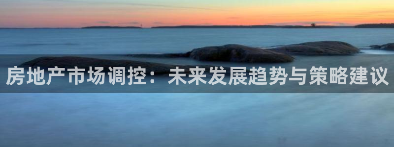 新宝5日740005蔻：房地产市场调控：未来发展趋势与策略建