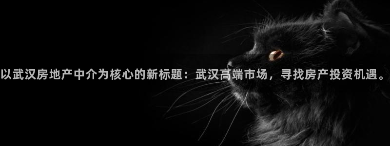 新宝_5：以武汉房地产中介为核心的新标题：武汉高端市场，寻找