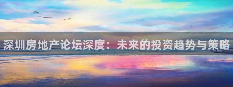 新宝5注册测速登录：深圳房地产论坛深度：未来的投资趋势与策略