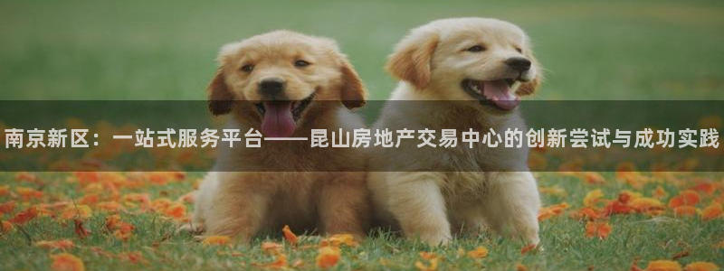 新宝速5：南京新区：一站式服务平台——昆山房地产交易中心的创