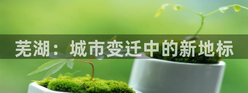 新宝5平台登陆：芜湖：城市变迁中的新地标