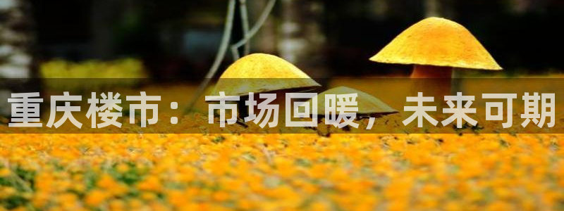 新宝5浗维33 300：重庆楼市：市场回暖，未来可期