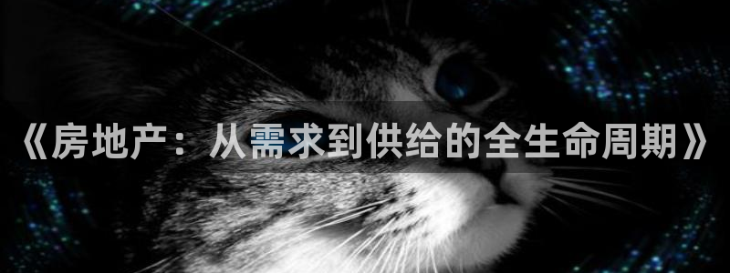 新宝5苹果手机下载：《房地产：从需求到供给的全生命周期》