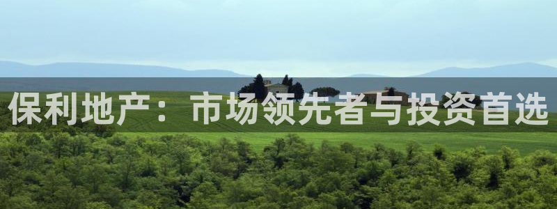 新宝5如何下载