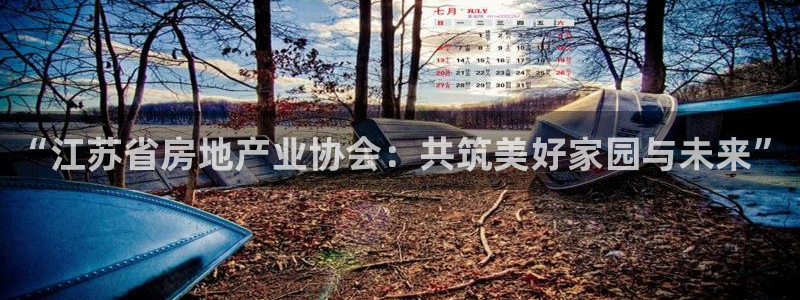 新宝5的网址