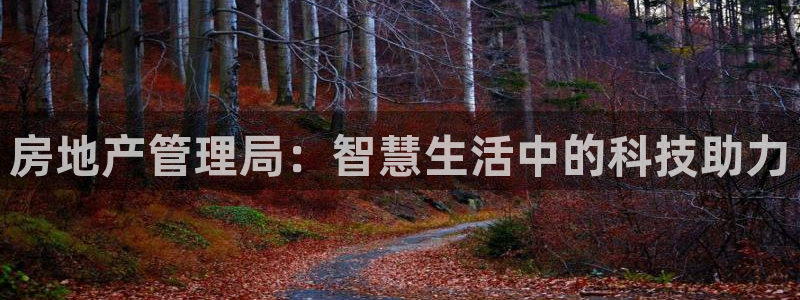 新宝5安卓版：房地产管理局：智慧生活中的科技助力