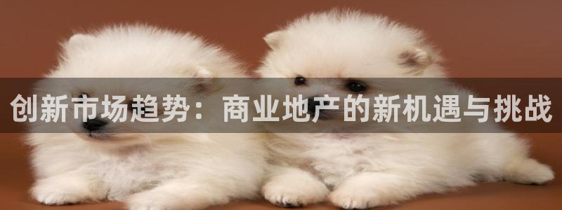 新宝5登录入口网址：创新市场趋势：商业地产的新机遇与挑战