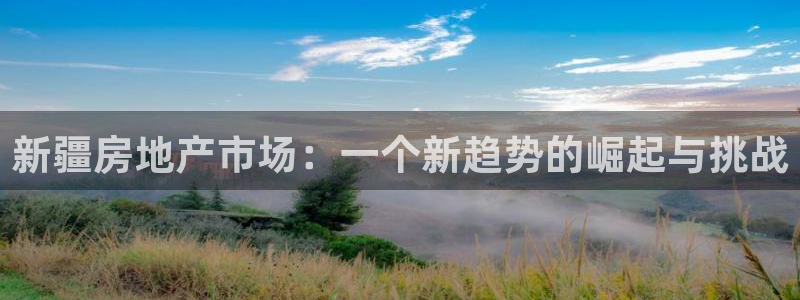 新宝5 888：新疆房地产市场：一个新趋势的崛起与挑战