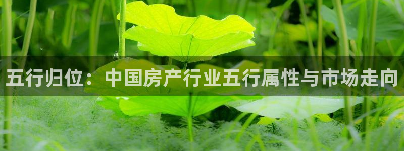 菲律宾新宝5老板