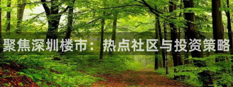新宝新5：聚焦深圳楼市：热点社区与投资策略