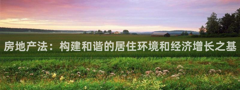 新宝5娱乐网址：房地产法：构建和谐的居住环境和经济增长之基
