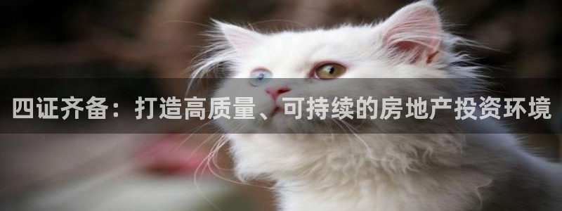 新宝5娱乐登陆：四证齐备：打造高质量、可持续的房地产投资环境