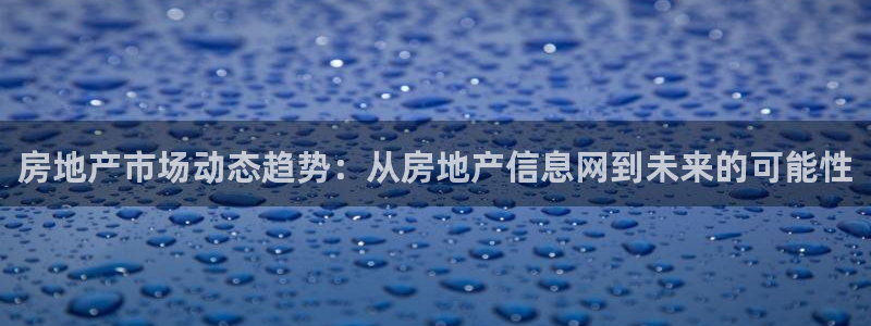 新宝那2O5O5O：房地产市场动态趋势：从房地产信息网到未来