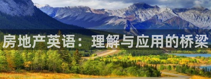 新宝5app手机下载