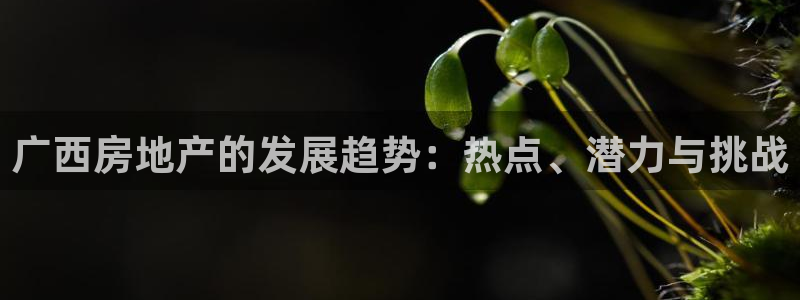 新宝5卫74OOO5：广西房地产的发展趋势：热点、潜力与挑战