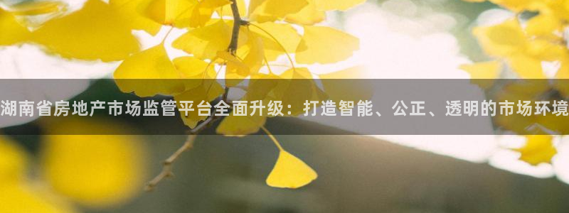 新宝5下载官方：湖南省房地产市场监管平台全面升级：打造智能、