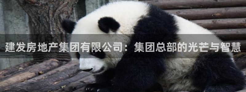 新宝5平台登录下载软件：建发房地产集团有限公司：集团总部的光