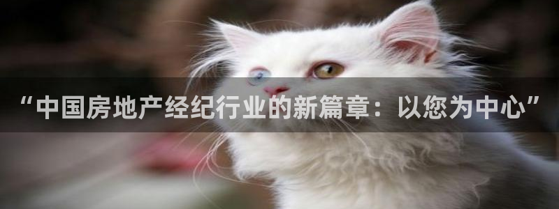 新宝5什么时候上市：“中国房地产经纪行业的新篇章：以您为中心