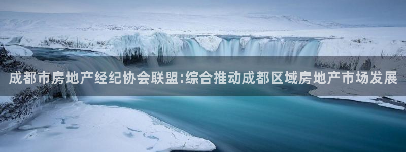 新宝5娱乐手机登录：成都市房地产经纪协会联盟:综合推动成都区