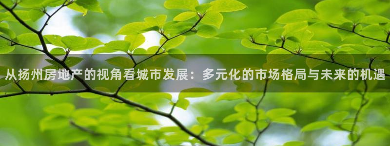 新宝5官网平台：从扬州房地产的视角看城市发展：多元化的市场格