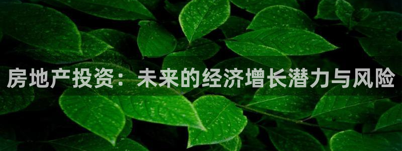 新宝5测速下载：房地产投资：未来的经济增长潜力与风险