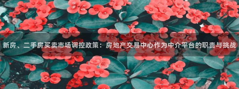 新宝5测试：新房、二手房买卖市场调控政策：房地产交易中心作为