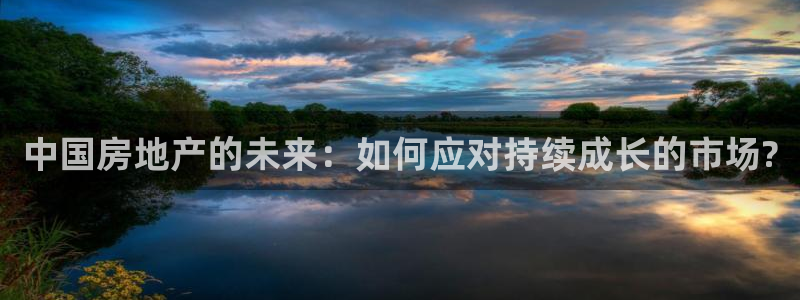 新宝5登录界面：中国房地产的未来：如何应对持续成长的市场?
