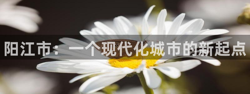新宝5网址：阳江市：一个现代化城市的新起点